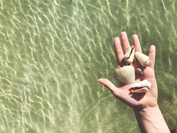 Midsection of man holding water in sea