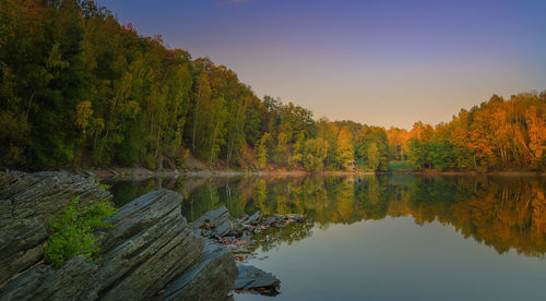 Scenic view of lake in forest against sky