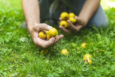 Close-up of hand holding fruit