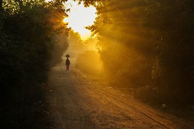 Rear view of woman carrying goods on head while walking on road during sunrise