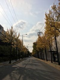 Road by trees against sky