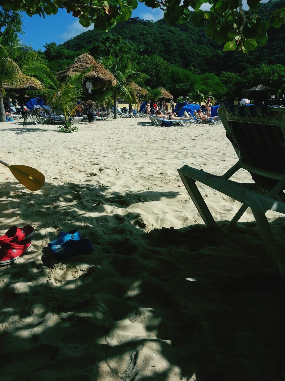 tree, beach, water, vacations, leisure activity, sand, large group of people, sunlight, relaxation, sea, person, lifestyles, incidental people, shadow, shore, park - man made space, beach umbrella, nature, summer