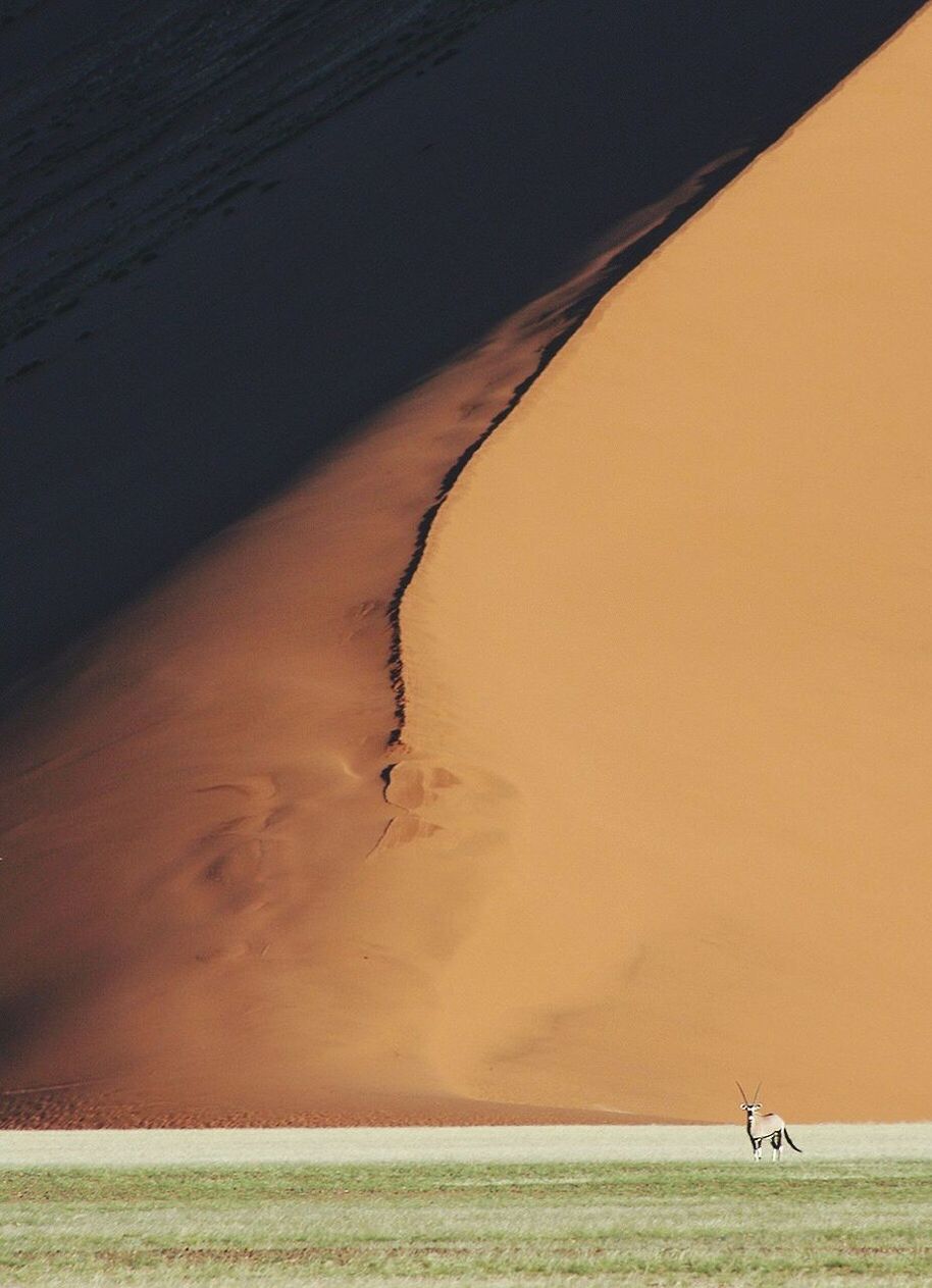 SCENIC VIEW OF DESERT AGAINST SUNSET SKY