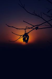 Silhouette birds against sky during sunset