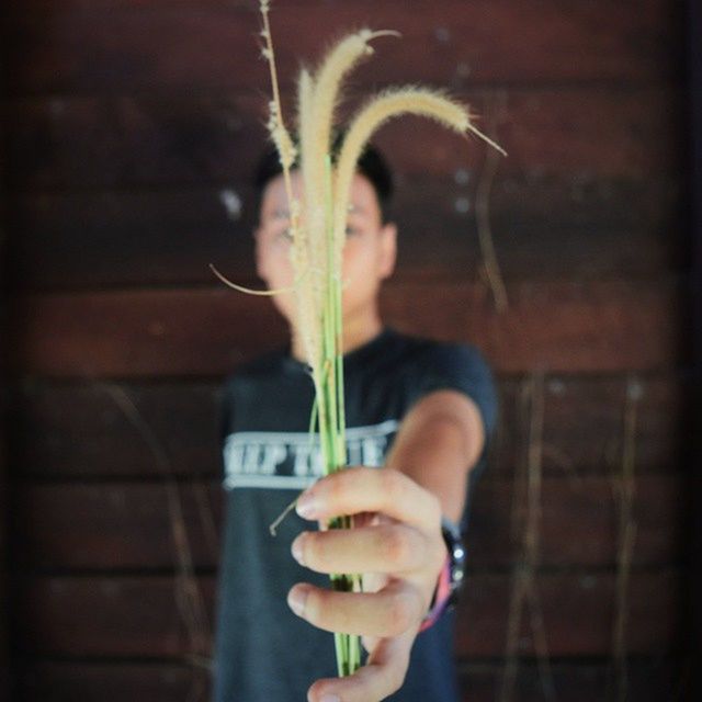 person, holding, freshness, part of, cropped, food and drink, indoors, close-up, plant, food, wall - building feature, human finger, potted plant, stem, flower, focus on foreground, unrecognizable person