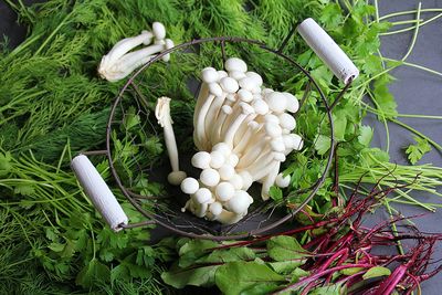 High angle view of vegetables on plant, mushrooms shimeji, parsley