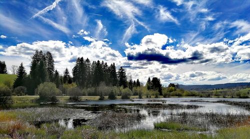 Scenic view of lake in forest against sky