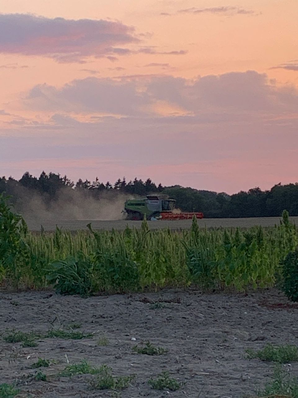 SCENIC VIEW OF FIELD AGAINST SKY AT SUNSET