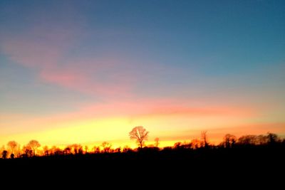 Silhouette trees against sky during sunset