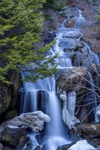 Close-up of waterfall against trees