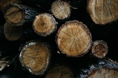 Full frame shot of logs in forest