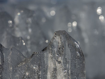 Close-up of water drops on ice