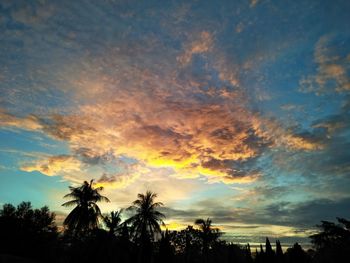 Low angle view of silhouette trees against sky during sunset
