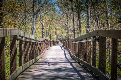 Footbridge amidst trees in forest