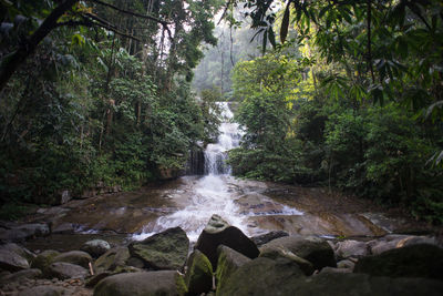 Water flowing through rocks in forest
