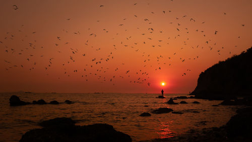 Silhouette fishing man standing on the rock inn the sea and the sunlight with birds flying 