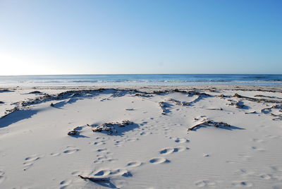 Scenic view of beach against clear sky