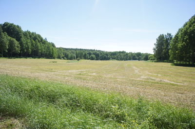 Scenic view of field against cloudy sky