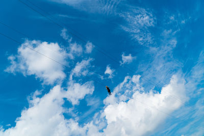 Low angle view of birds flying in sky