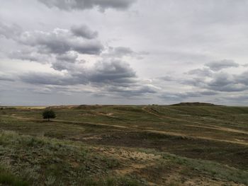 Scenic view of field against sky