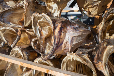 Close-up of fish for sale in market