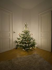 Christmas tree at home