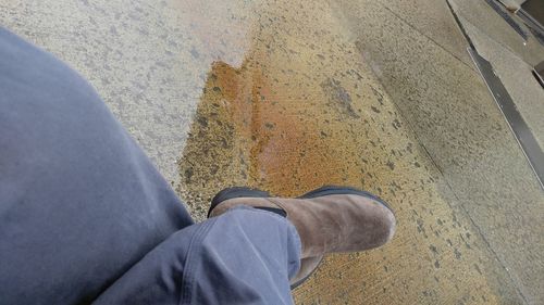 Low section of man standing on road