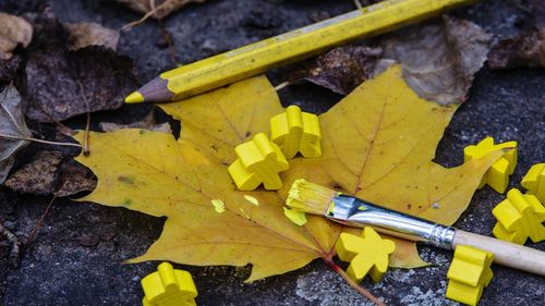 Close-up high angle view of yellow leaves