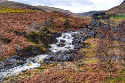 Scenic view of stream flowing through rocks