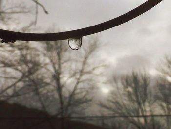 Low angle view of raindrops on tree against sky
