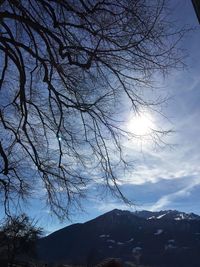 Low angle view of bare tree against sky