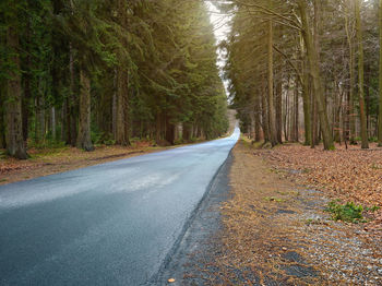 Empty road amidst trees on field