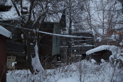 Bare trees by building during winter