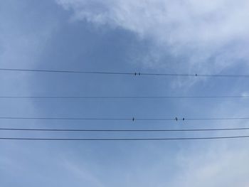 Low angle view of birds perching on cable