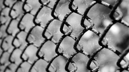 Close-up of chainlink fence