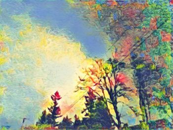 Close-up of multi colored flower