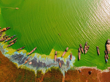 High angle view of birds on beach