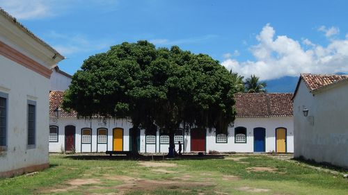 Trees and house against sky