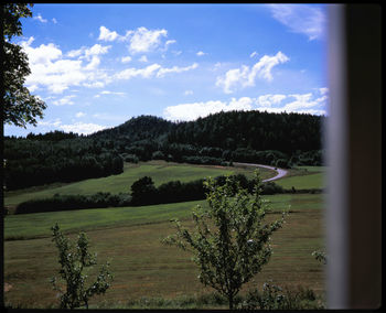 Trees on field against sky