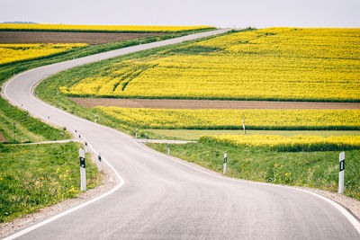 Road passing through field