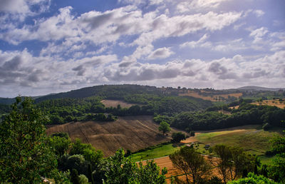 Scenic view of agricultural landscape against sky