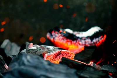 Close-up of coal burning