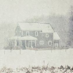Snow covered landscape
