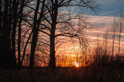 Silhouette bare trees on landscape against sky during sunset