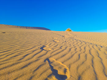 Tire tracks in sahara desert of algeria 