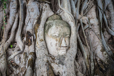 Statue of buddha