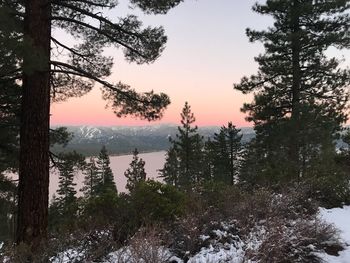 Scenic view of lake in forest during winter