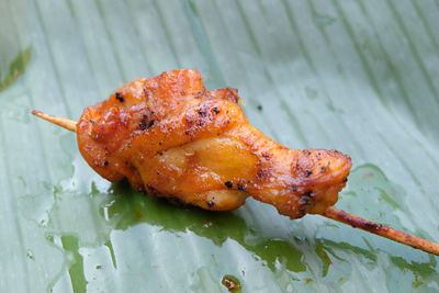 High angle view of fish in plate