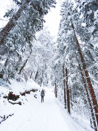 Person walking on snow covered land