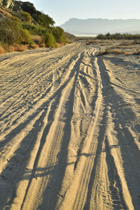  tire tracks in sand beach road at golden moments of tropical morning in baja california sur, mexico